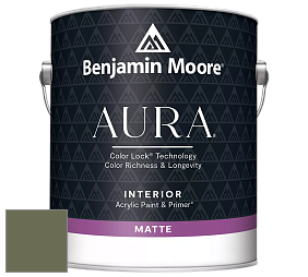 Benjamin Moore Aura 522 Interior Paint - Matte краска цвет NCS S 6020-G50Y 