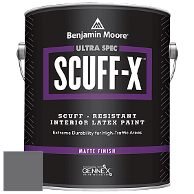 Benjamin Moore 484 Ultra Spec SCUFF-X Interior Matte Finish краска цвет NCS S 6502-R50B 