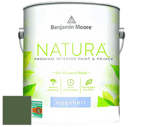 Benjamin Moore 513 Natura Interior Eggshell Finish краска с блеском цвет NCS S 6030-G30Y 