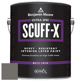 Benjamin Moore 484 Ultra Spec SCUFF-X Interior Matte Finish краска цвет NCS S 6502-Y20R 