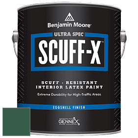 Benjamin Moore 485 Ultra Spec SCUFF-X Interior Eggshell Finish краска цвет NCS S 6030-G 