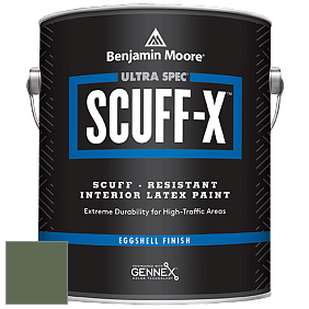 Benjamin Moore 485 Ultra Spec SCUFF-X Interior Eggshell Finish краска цвет NCS S 6020-G30Y 