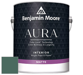 Benjamin Moore Aura 522 Interior Paint - Matte краска цвет NCS S 6020-B90G 
