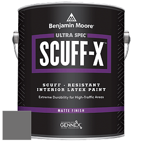Benjamin Moore 484 Ultra Spec SCUFF-X Interior Matte Finish краска цвет NCS S 6500-N 