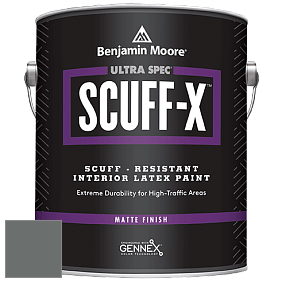 Benjamin Moore 484 Ultra Spec SCUFF-X Interior Matte Finish краска цвет NCS S 6502-G 