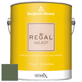 Benjamin Moore 547 Regal Select Waterborne Interior Flat Finish краска цвет NCS S 6020-G30Y 