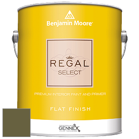 Benjamin Moore 547 Regal Select Waterborne Interior Flat Finish краска цвет NCS S 6030-G70Y 