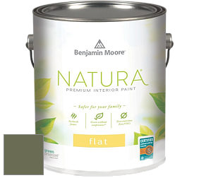 Benjamin Moore 512 Natura Interior Flat Finish матовая краска цвет NCS S 6020-G50Y 