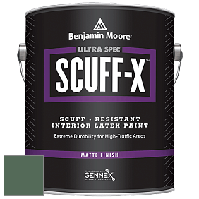 Benjamin Moore 484 Ultra Spec SCUFF-X Interior Matte Finish краска цвет NCS S 6020-G10Y 