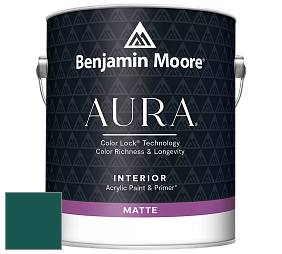 Benjamin Moore Aura 522 Interior Paint - Matte краска цвет NCS S 6035-B60G 