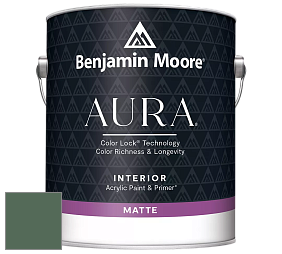 Benjamin Moore Aura 522 Interior Paint - Matte краска цвет NCS S 6020-G10Y 