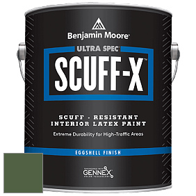 Benjamin Moore 485 Ultra Spec SCUFF-X Interior Eggshell Finish краска цвет NCS S 6030-G30Y 