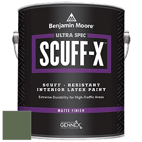 Benjamin Moore 484 Ultra Spec SCUFF-X Interior Matte Finish краска цвет NCS S 6020-G30Y 
