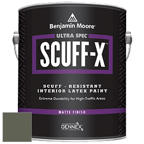 Benjamin Moore 484 Ultra Spec SCUFF-X Interior Matte Finish краска цвет NCS S 7010-G50Y 