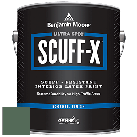 Benjamin Moore 485 Ultra Spec SCUFF-X Interior Eggshell Finish краска цвет NCS S 6020-G10Y 