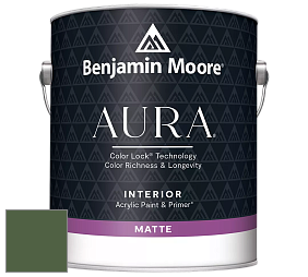 Benjamin Moore Aura 522 Interior Paint - Matte краска цвет NCS S 6030-G30Y 