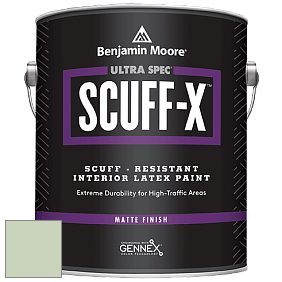 Benjamin Moore 484 Ultra Spec SCUFF-X Interior Matte Finish краска цвет HC-120 BM HC-120