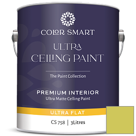Краска COLOR SMART CS 758 ULTRA CEILING PAINT ультраматовая краска цвет 404 Electric Slide