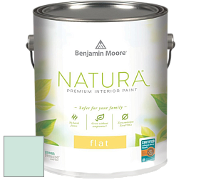 Benjamin Moore 512 Natura Interior Flat Finish матовая краска цвет 597 Quartz Stone