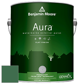 Benjamin Moore Aura 629 Waterborne Exterior Flat Finish краска цвет 2038-10 Celtic Green