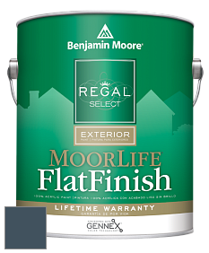 Benjamin Moore W105 Regal Select Exterior Paint-MoorLife Flat Finish краска цвет 2062-20 Gentleman's Gray