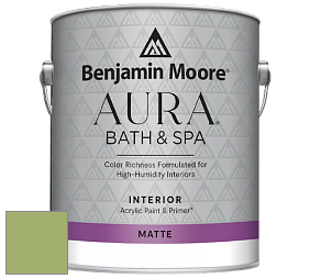Benjamin Moore Aura 532 Bath & Spa Waterborne Interior Paint Matte Finish краска цвет NCS S 2040-G40Y 