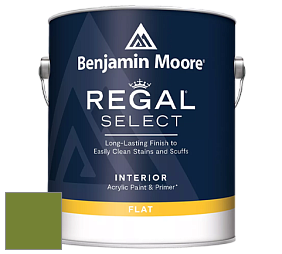 Benjamin Moore 547 Regal Select Waterborne Interior Flat Finish краска цвет NCS S 3065-G40Y 