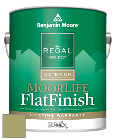 Benjamin Moore W105 Regal Select Exterior Paint-MoorLife Flat Finish краска цвет 2145-30 Brookside Moss