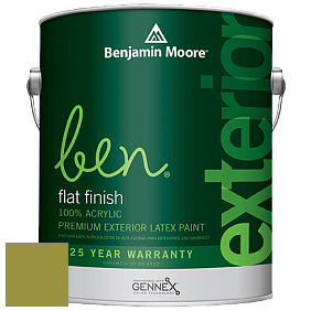Benjamin Moore Ben 541 Waterborne Exterior Flat Finish краска цвет 2146-20 Forest Moss