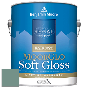 Benjamin Moore W096 Regal Select Exterior Paint-Moor GloSoft Gloss Finish краска цвет 684 Shenandoah