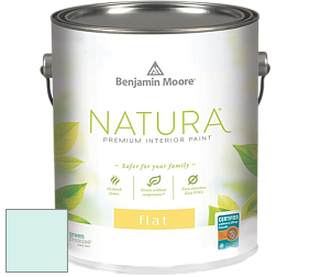 Benjamin Moore 512 Natura Interior Flat Finish матовая краска цвет 2048-70 Barely Teal