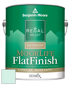 Benjamin Moore W105 Regal Select Exterior Paint-MoorLife Flat Finish краска цвет 2044-70 Light Touch