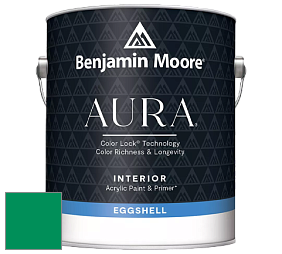 Benjamin Moore Aura 524 Waterborne Interior Eggshell Finish краска цвет NCS S 2565-G 