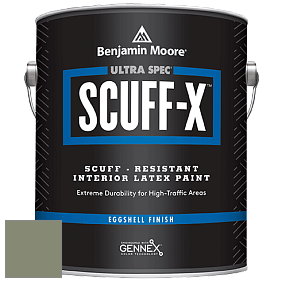 Benjamin Moore 485 Ultra Spec SCUFF-X Interior Eggshell Finish краска цвет AF-460 