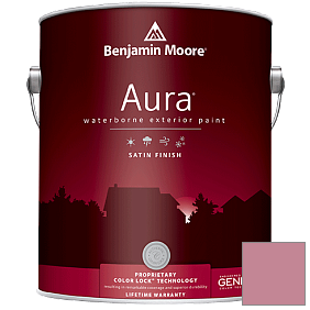 Краска Aura Waterborne Exterior Satin Finish (631) цвет 1272 Princess