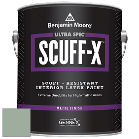 Benjamin Moore 484 Ultra Spec SCUFF-X Interior Matte Finish краска цвет NCS S 3010-G10Y 