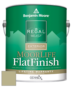 Benjamin Moore W105 Regal Select Exterior Paint-MoorLife Flat Finish краска цвет HC-115 BM HC-115