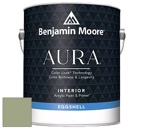 Benjamin Moore Aura 524 Waterborne Interior Eggshell Finish краска цвет NCS S 3020-G40Y 