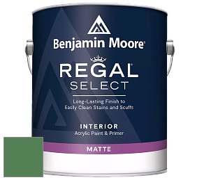 Benjamin Moore 548 IRegal Select Interior Paint - Matte краска цвет 2036-20 Irish Moss