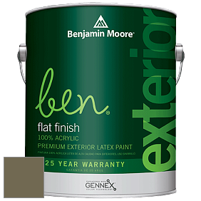 Benjamin Moore Ben 541 Waterborne Exterior Flat Finish краска цвет 2142-20 Turtle Green