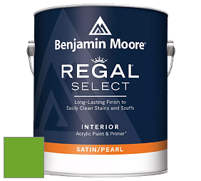 Benjamin Moore 550 Regal Select Waterborne Interior Pearl Finish краска цвет 2030-20 Tropical Seaweed Green