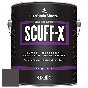 Benjamin Moore 484 Ultra Spec SCUFF-X Interior Matte Finish краска цвет NCS S 8005-R20B 