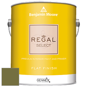 Benjamin Moore 547 Regal Select Waterborne Interior Flat Finish краска цвет NCS S 5040-G60Y 