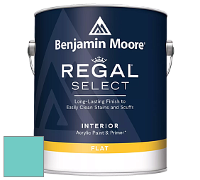 Benjamin Moore 547 Regal Select Waterborne Interior Flat Finish краска цвет NCS S 1040-B50G 