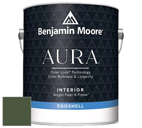 Benjamin Moore Aura 524 Waterborne Interior Eggshell Finish краска цвет RAL 6003 