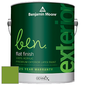 Benjamin Moore Ben 541 Waterborne Exterior Flat Finish краска цвет 2029-20 Baby Fern