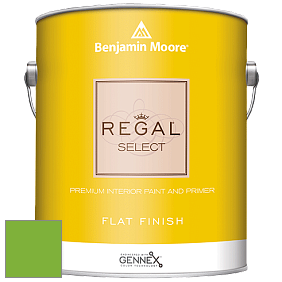 Benjamin Moore 547 Regal Select Waterborne Interior Flat Finish краска цвет 2030-30 Lucky Charm Green