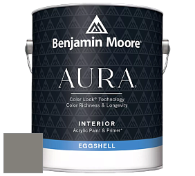 Benjamin Moore Aura 524 Waterborne Interior Eggshell Finish краска цвет NCS S 5502-Y 