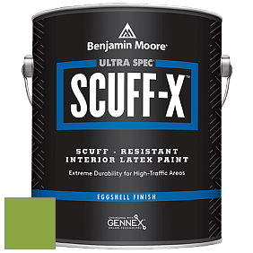 Benjamin Moore 485 Ultra Spec SCUFF-X Interior Eggshell Finish краска цвет 2029-30 Rosemary Green