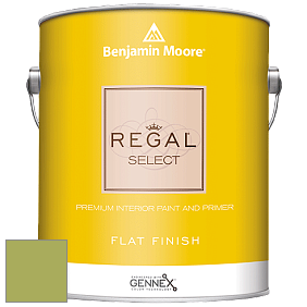 Benjamin Moore 547 Regal Select Waterborne Interior Flat Finish краска цвет NCS S 2050-G50Y 
